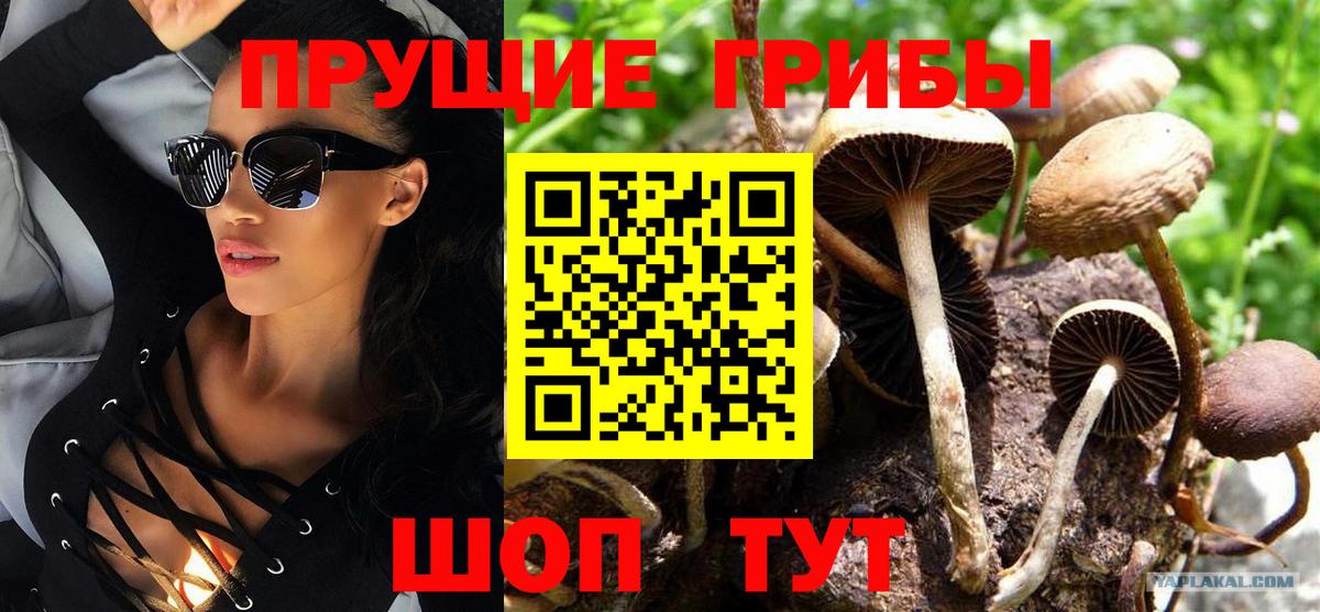 Галлюциногенные грибы мухоморы Ревда
