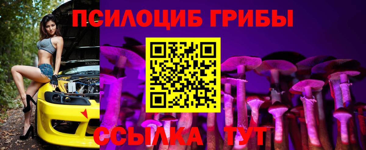 Галлюциногенные грибы ЛСД  Вход с VPN  Ревда  Псилоцибиновые грибы Psilocybe 